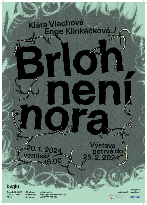 Brlohneninora.indd